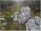 Koprivna (Kumer) - Bistriška špica/Feistritzer Spitze